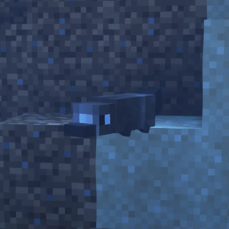 Platypus