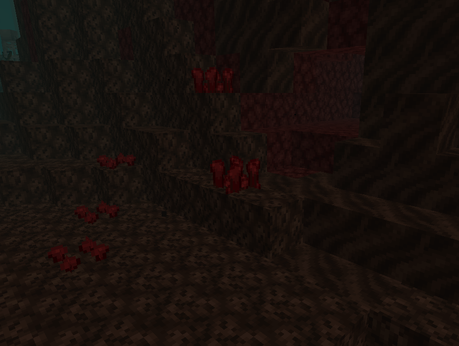 A soul sand valley with nether wart growing in it