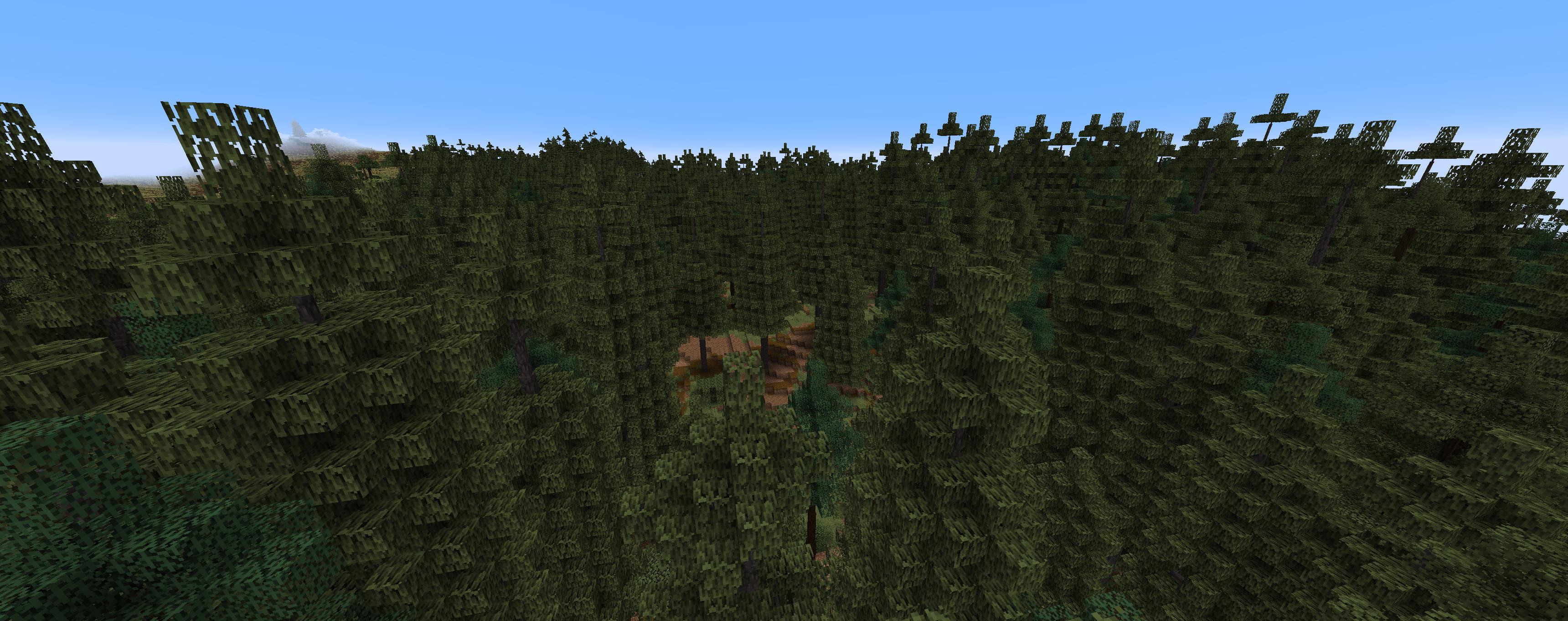 Home of the Tall Fir Tree