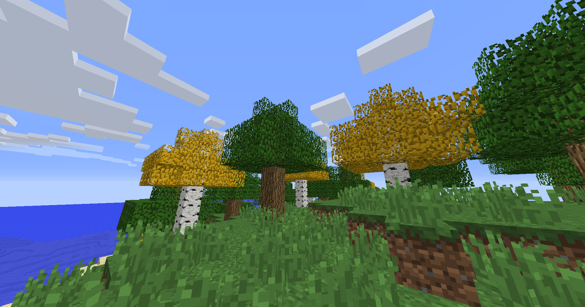 Birch trees in 1.8.9