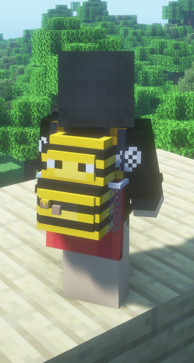 Backpack displayed on your back