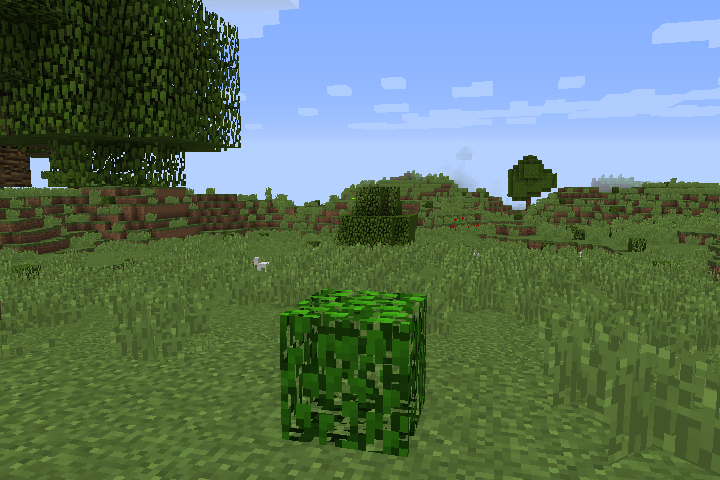 A spotless bush