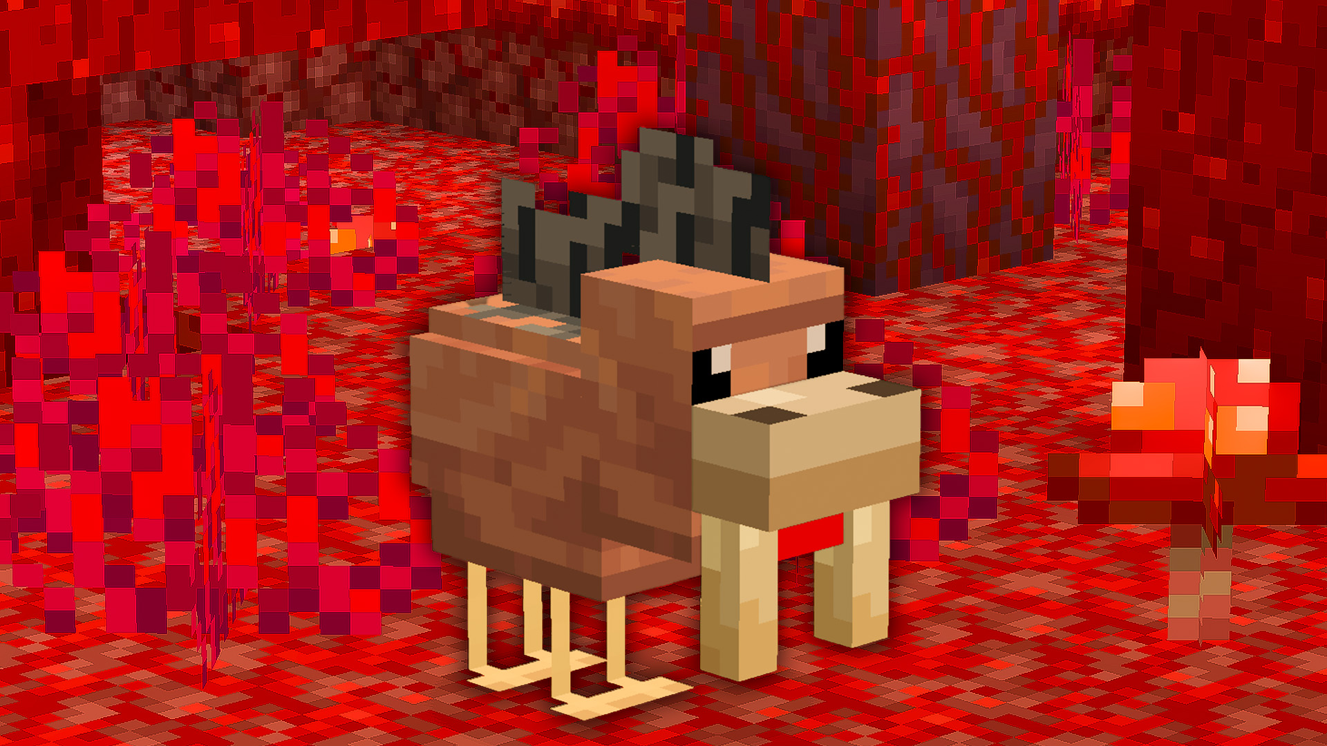 Chicken Hoglin