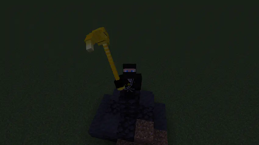 Ninja3