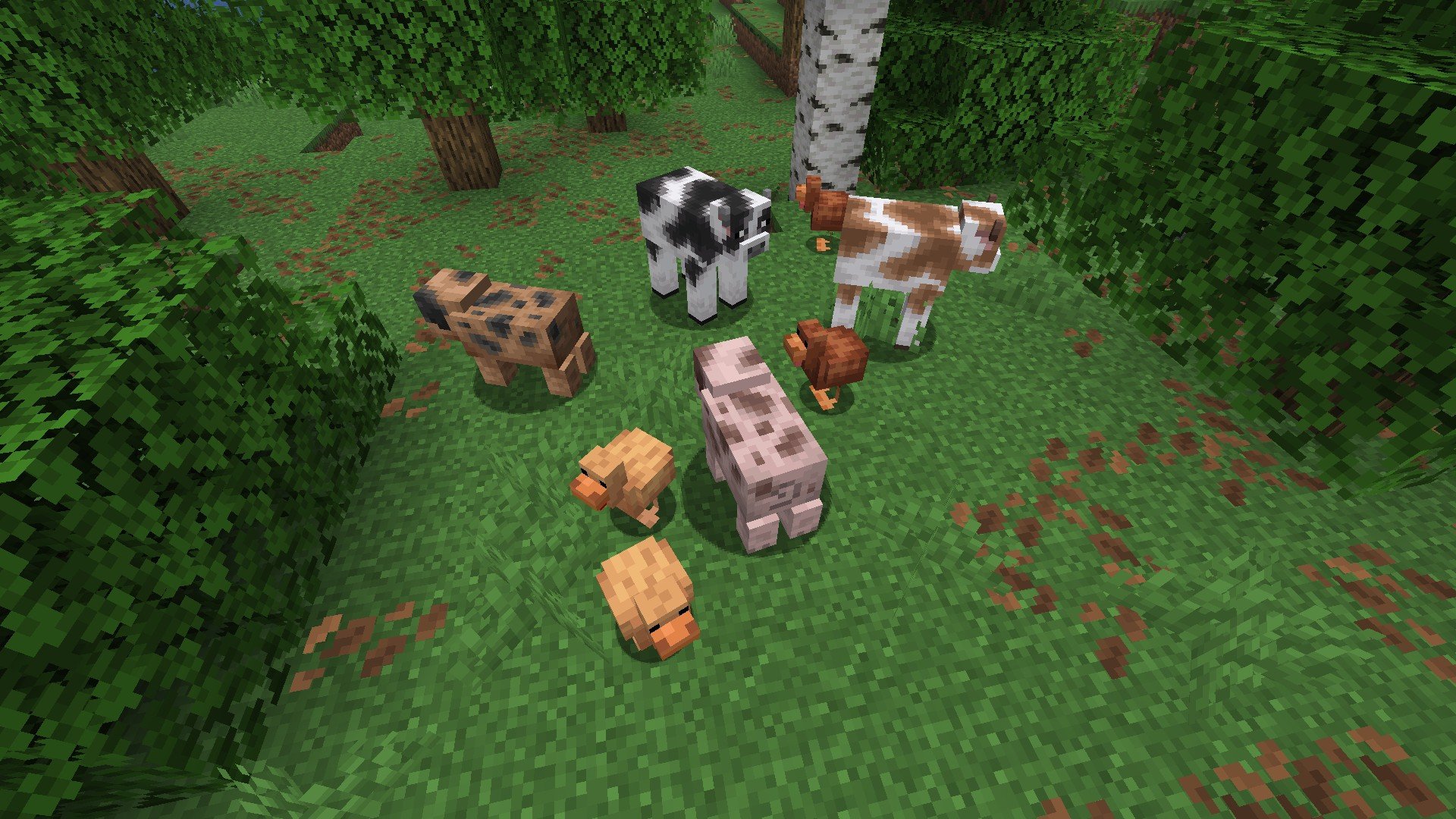 Several Animal from the Rusty and Forest Variants