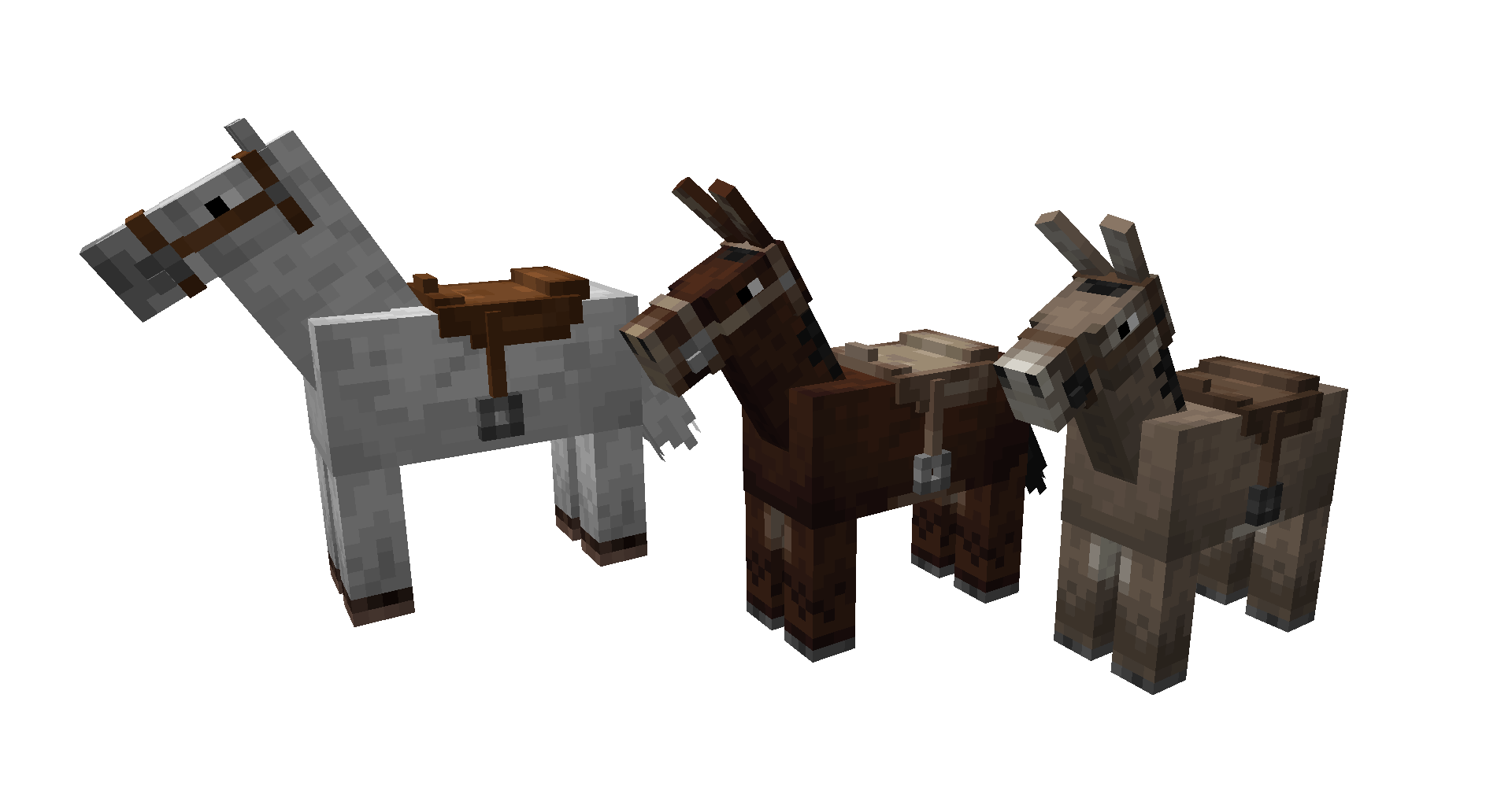 A white horse, a mule, and a donkey are all lined up in a row. All three are wearing saddles.