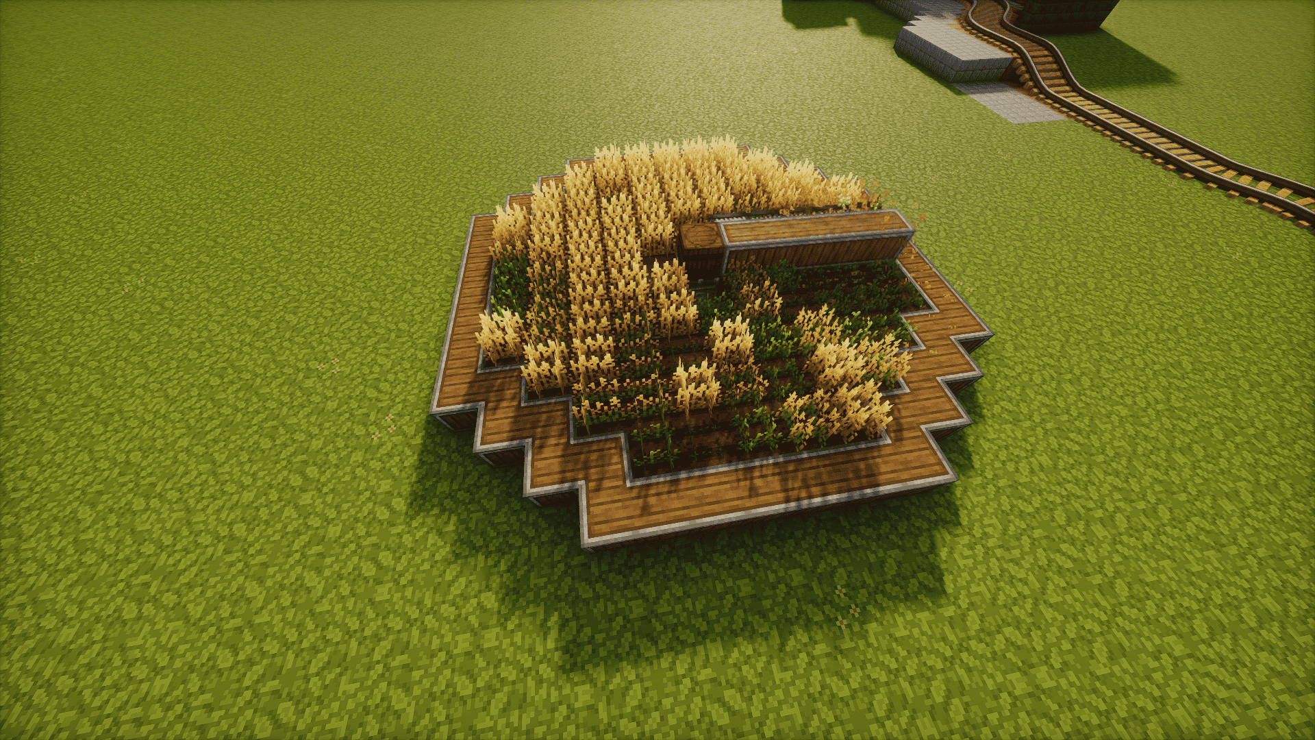 Wheat Farm