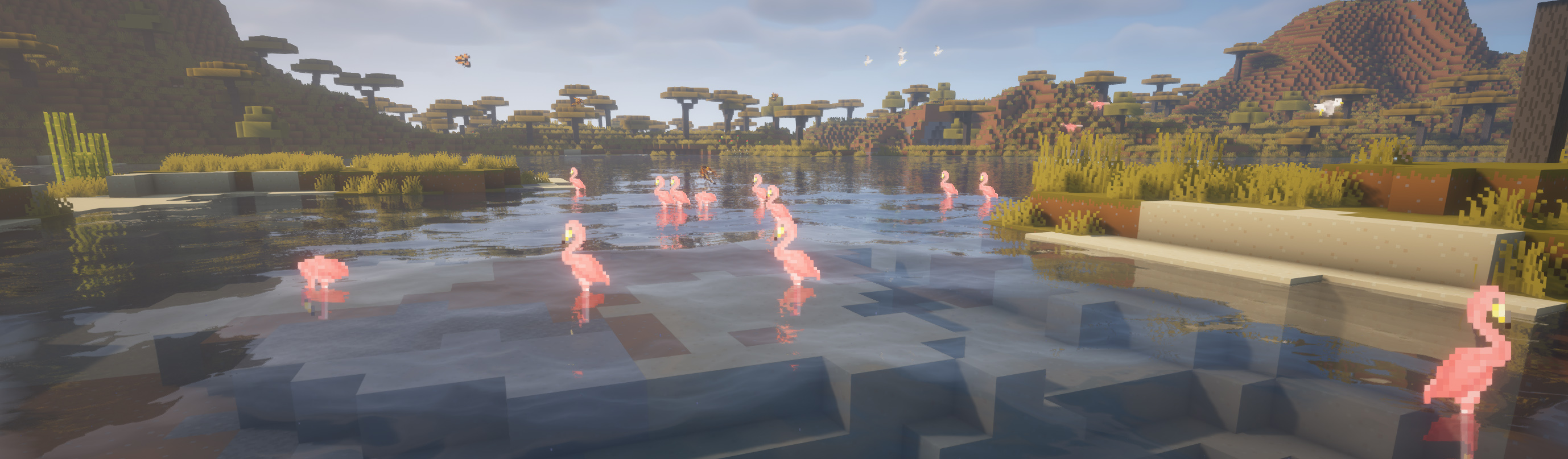 Flock of flamingos chilling in the water