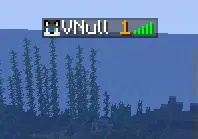 Ingame View