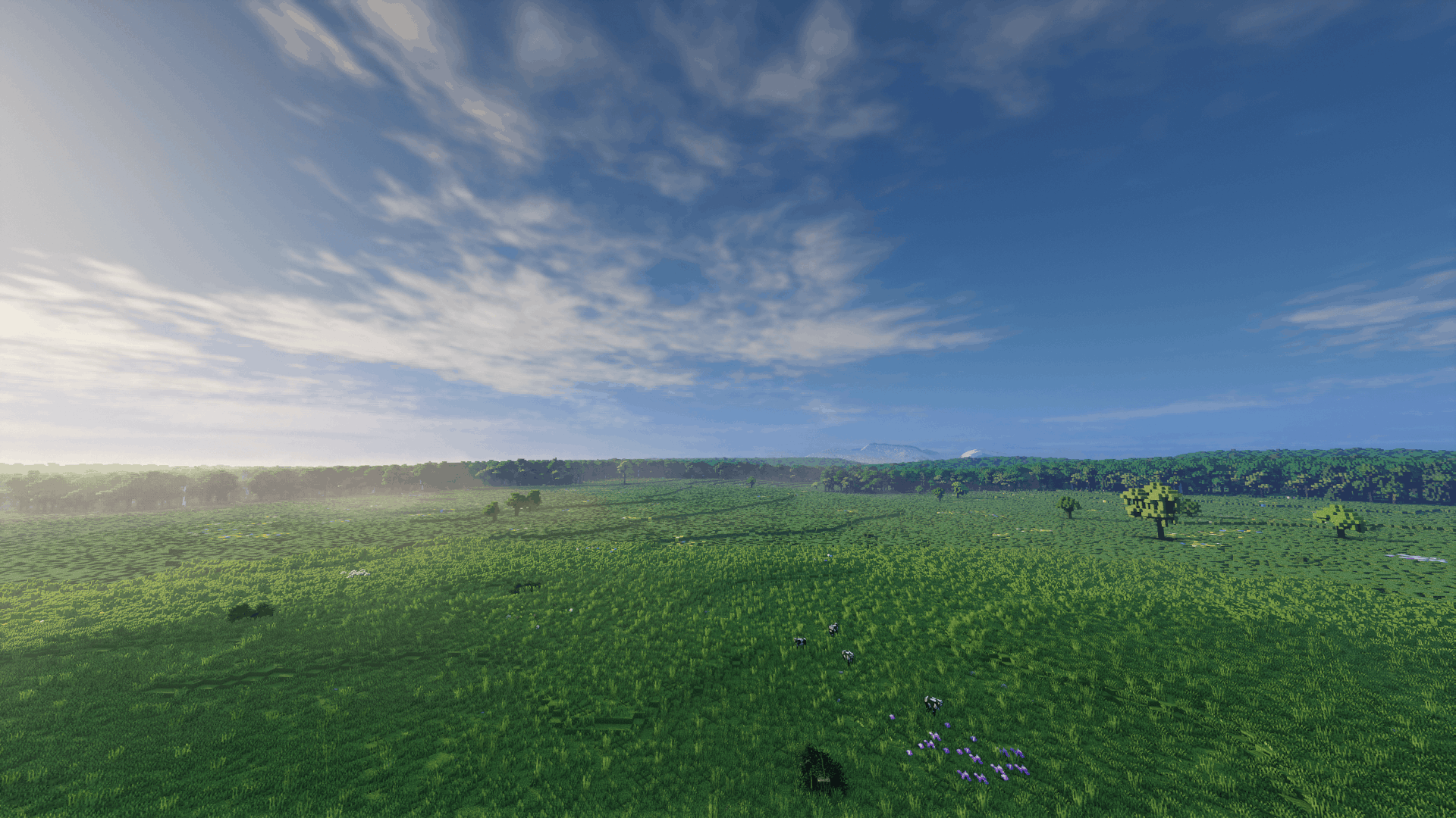 plains with forest