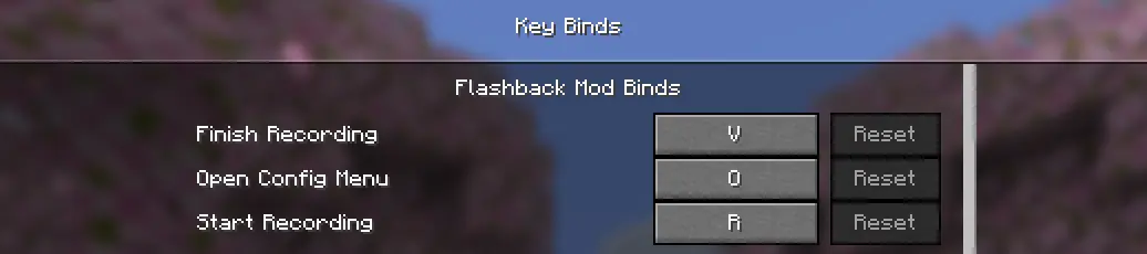 FlashbackRecord Keybinds