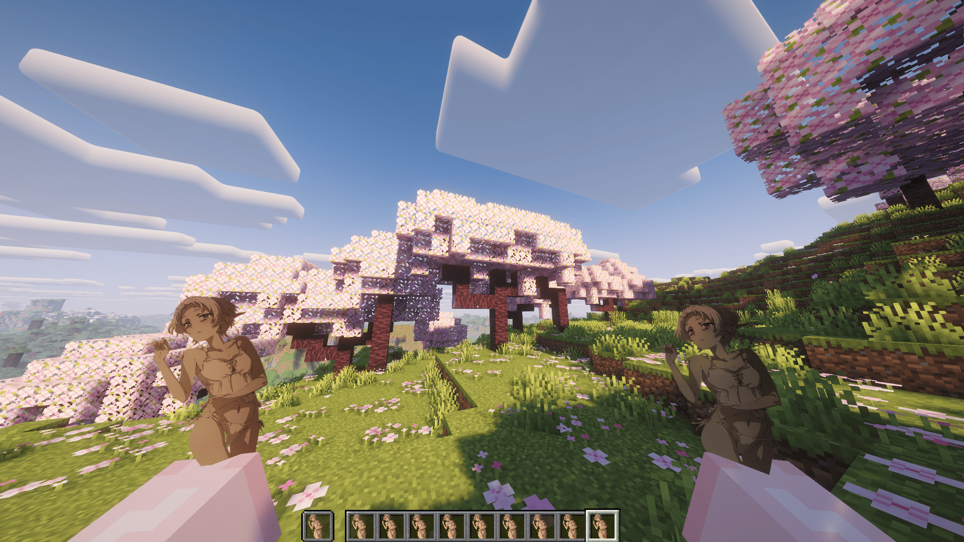 Resource pack with the Punchy mod!