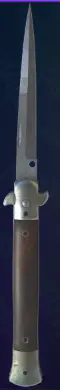 CS2