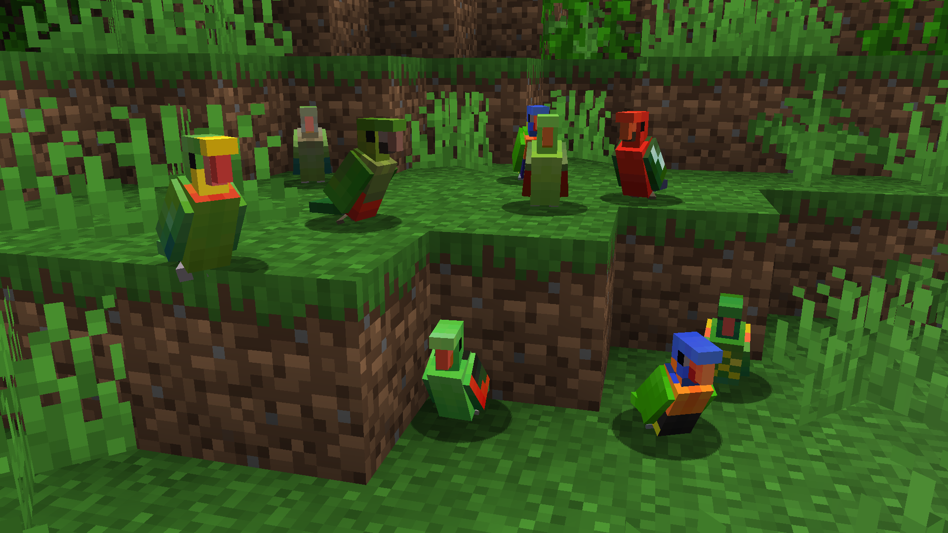 Australian Parrots V.1