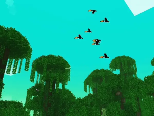 toucans flying