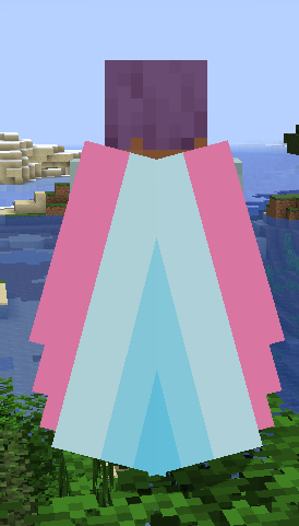 Transmasc Elytra