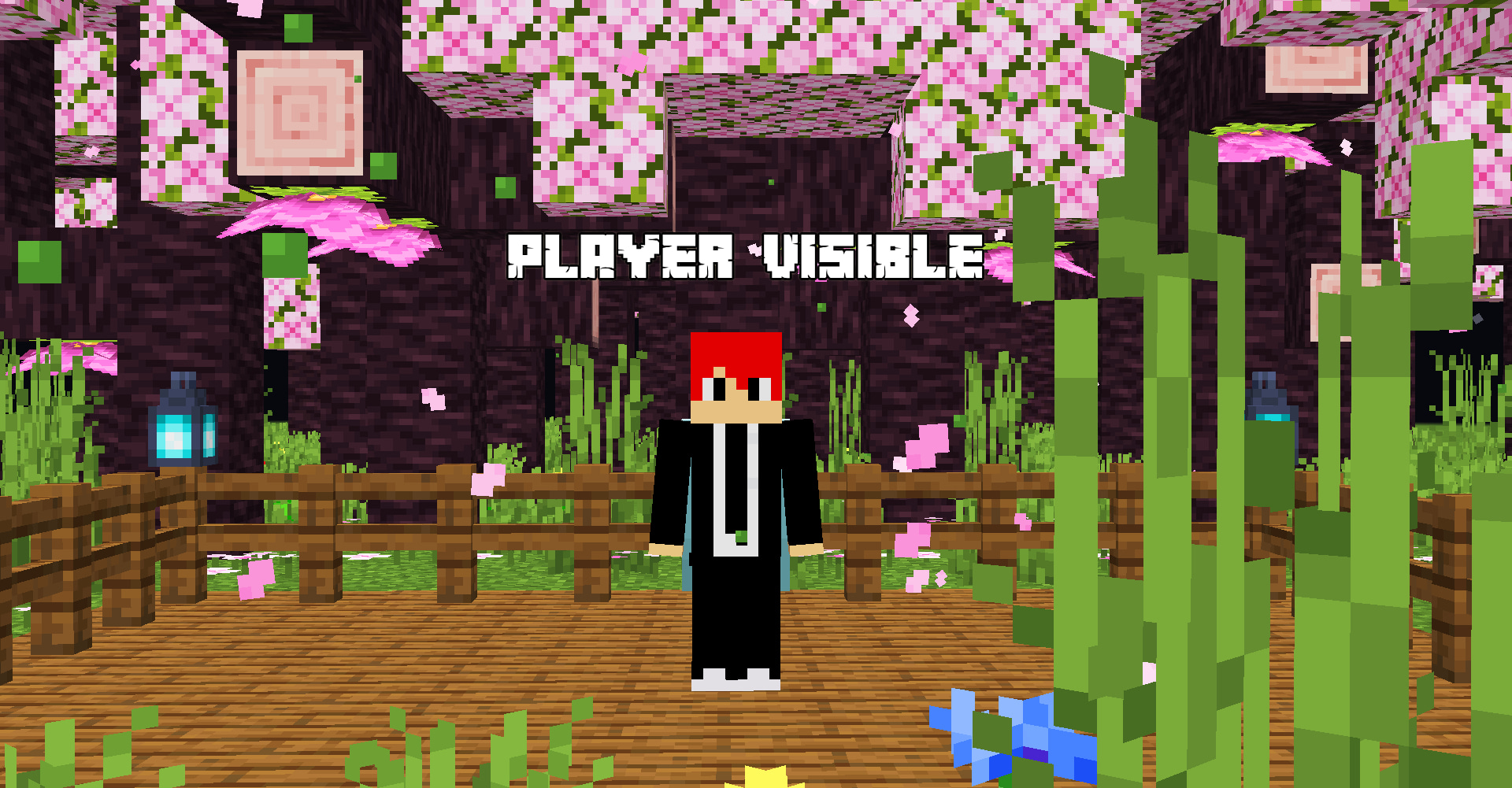 Player Visibility