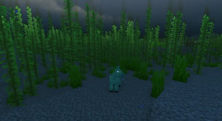 drowned horse
