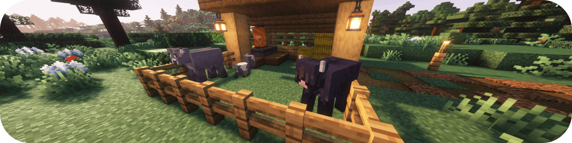 A stable of cows, showcasing the mod More Mob Variants