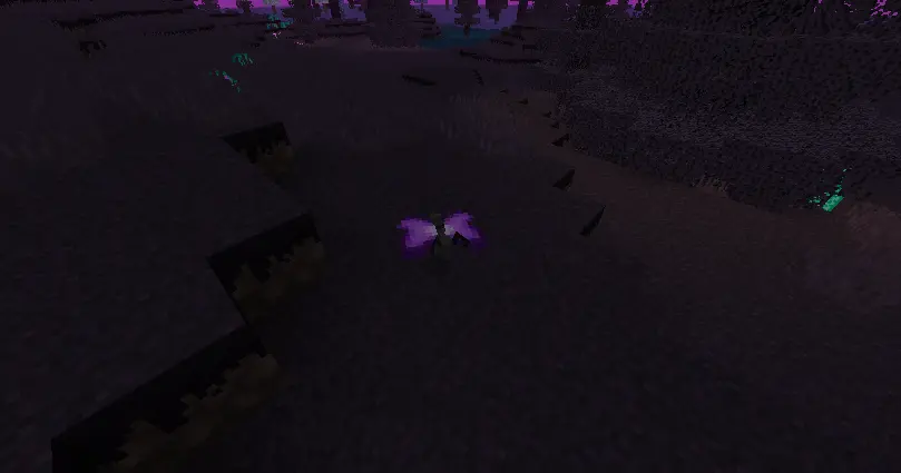 butterfly_purple