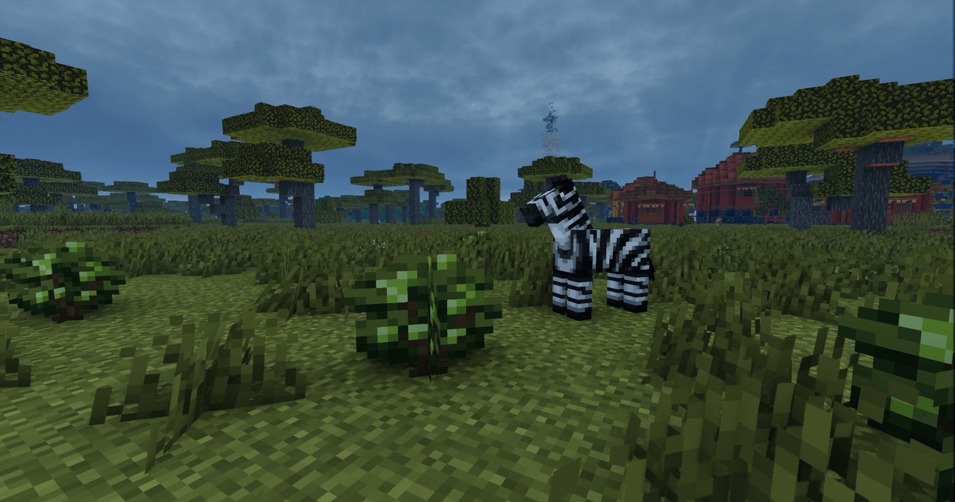 zebra