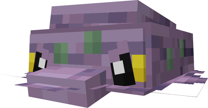 Sludug