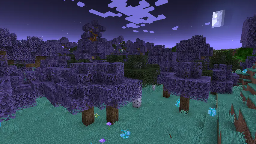 Fairy Forest