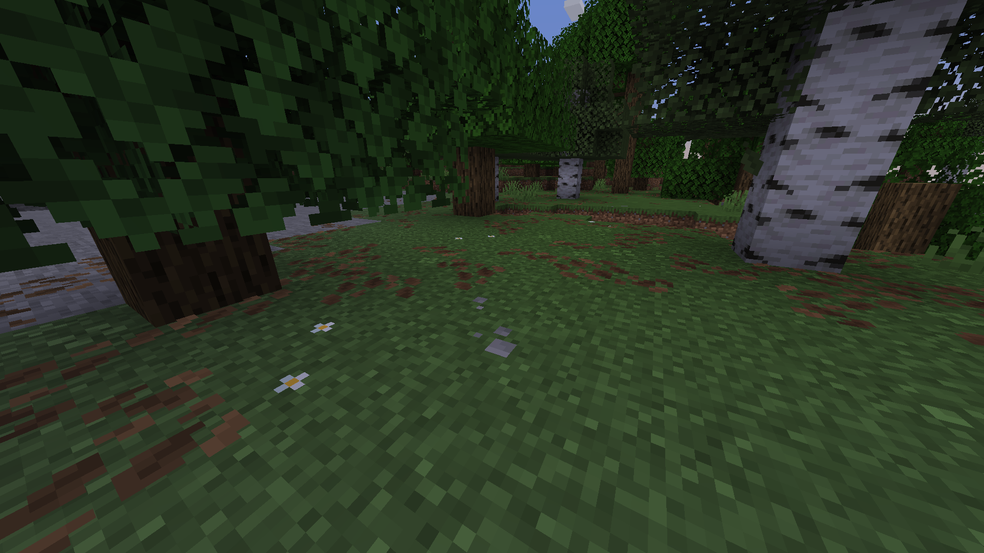 Grass