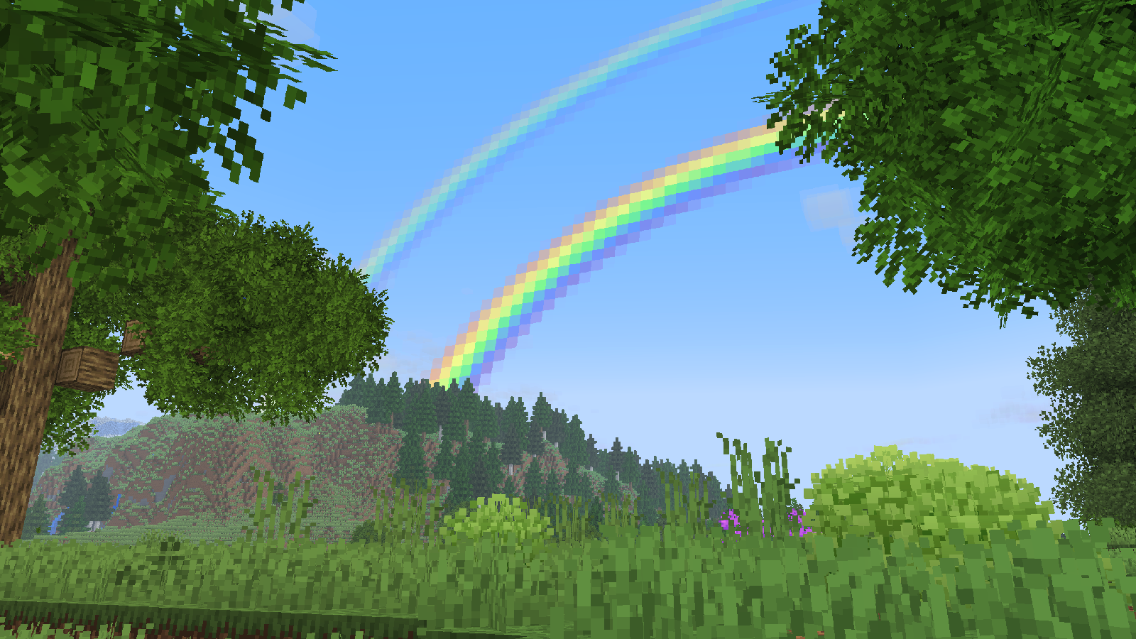 Rainbows
