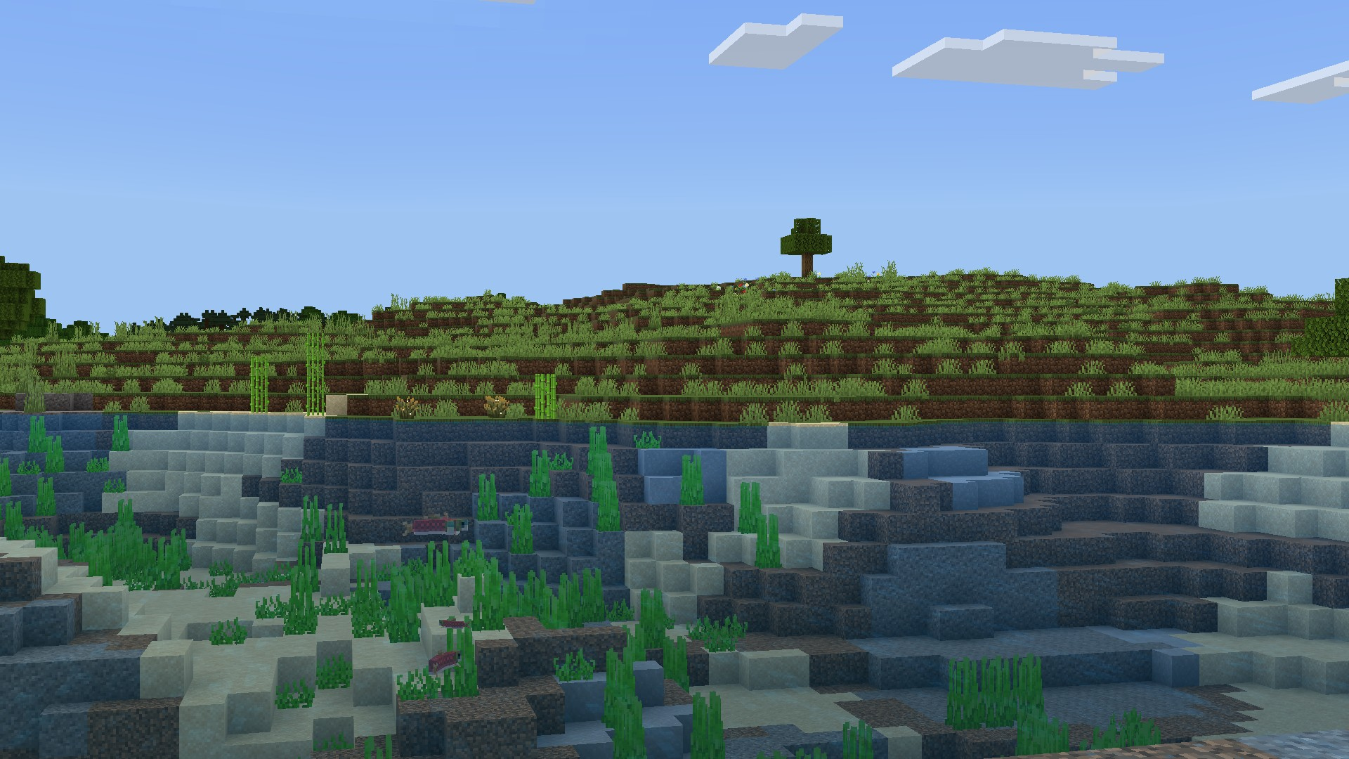 Vanilla Vignette