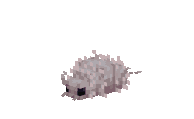 A silver dweller in its idle animation