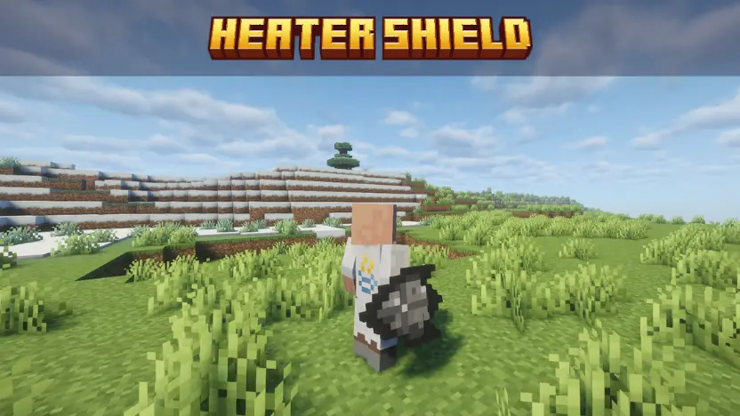 Heater Shield