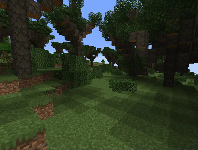 trees