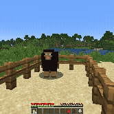 SheepToEgg
