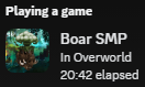 Discord Rich Presence Showing a User playing on Boar SMP