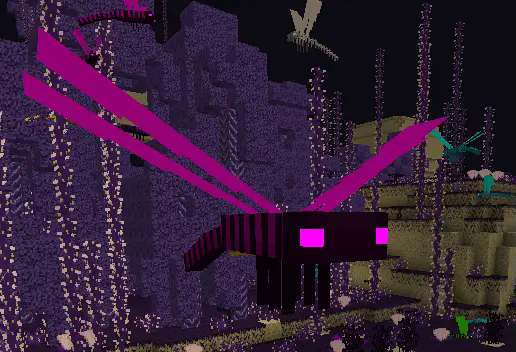 Purple Dragonfly