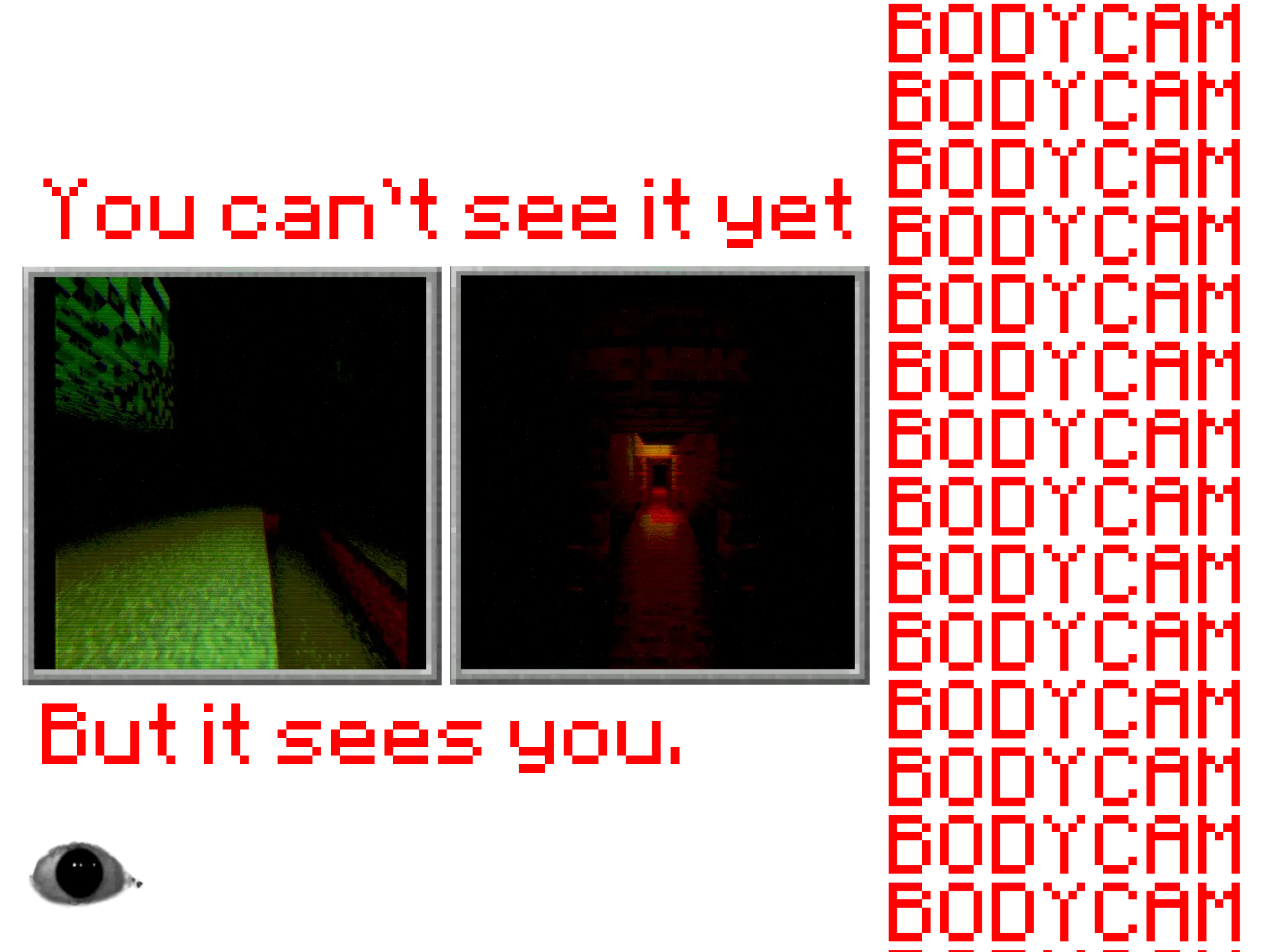 "Do you see it?"