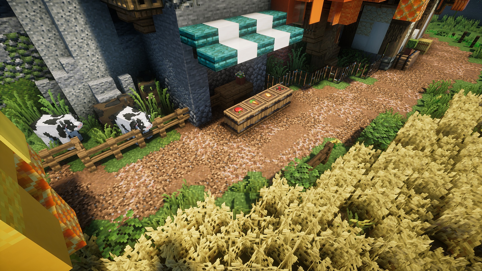 Minecraft pathway.