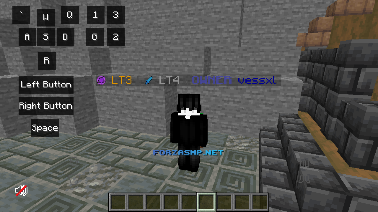 Tier Visibility On Name Tags