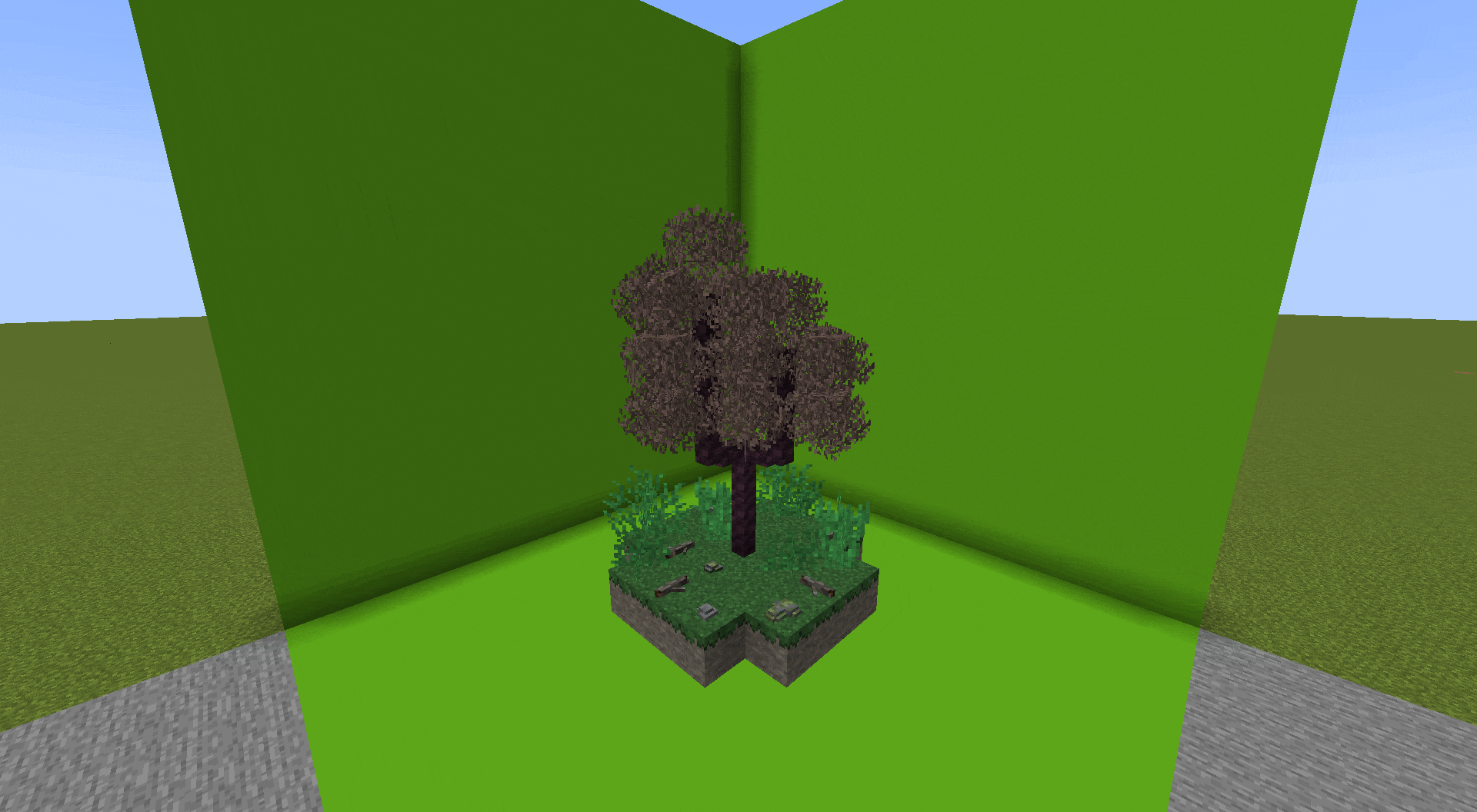 The lifecycle of a cherry tree using Naturalis.