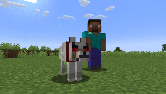 Dog rage