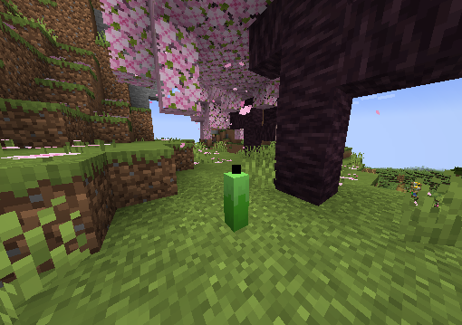 Calming Candle with a Cherry Blossom biome in the background