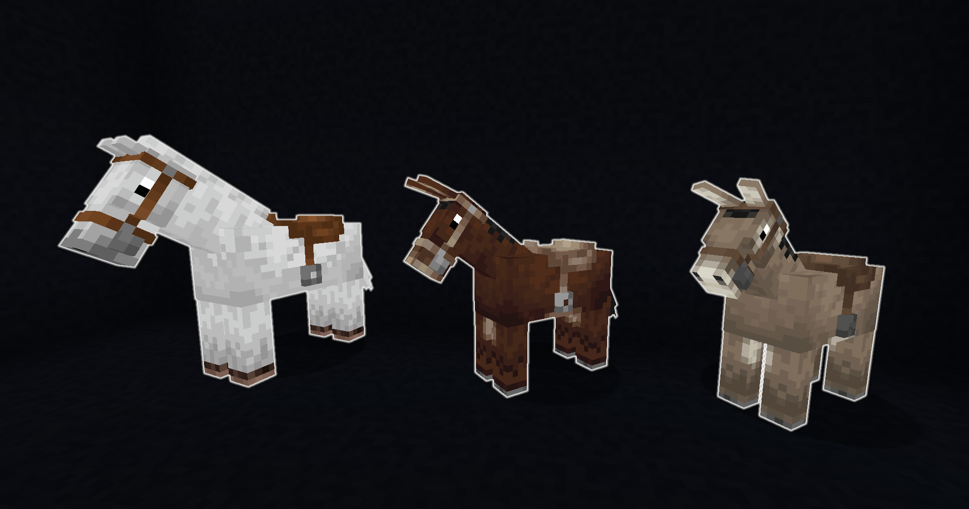 A white horse, a mule, and a donkey are lined up. Each of them is wearing a saddle.