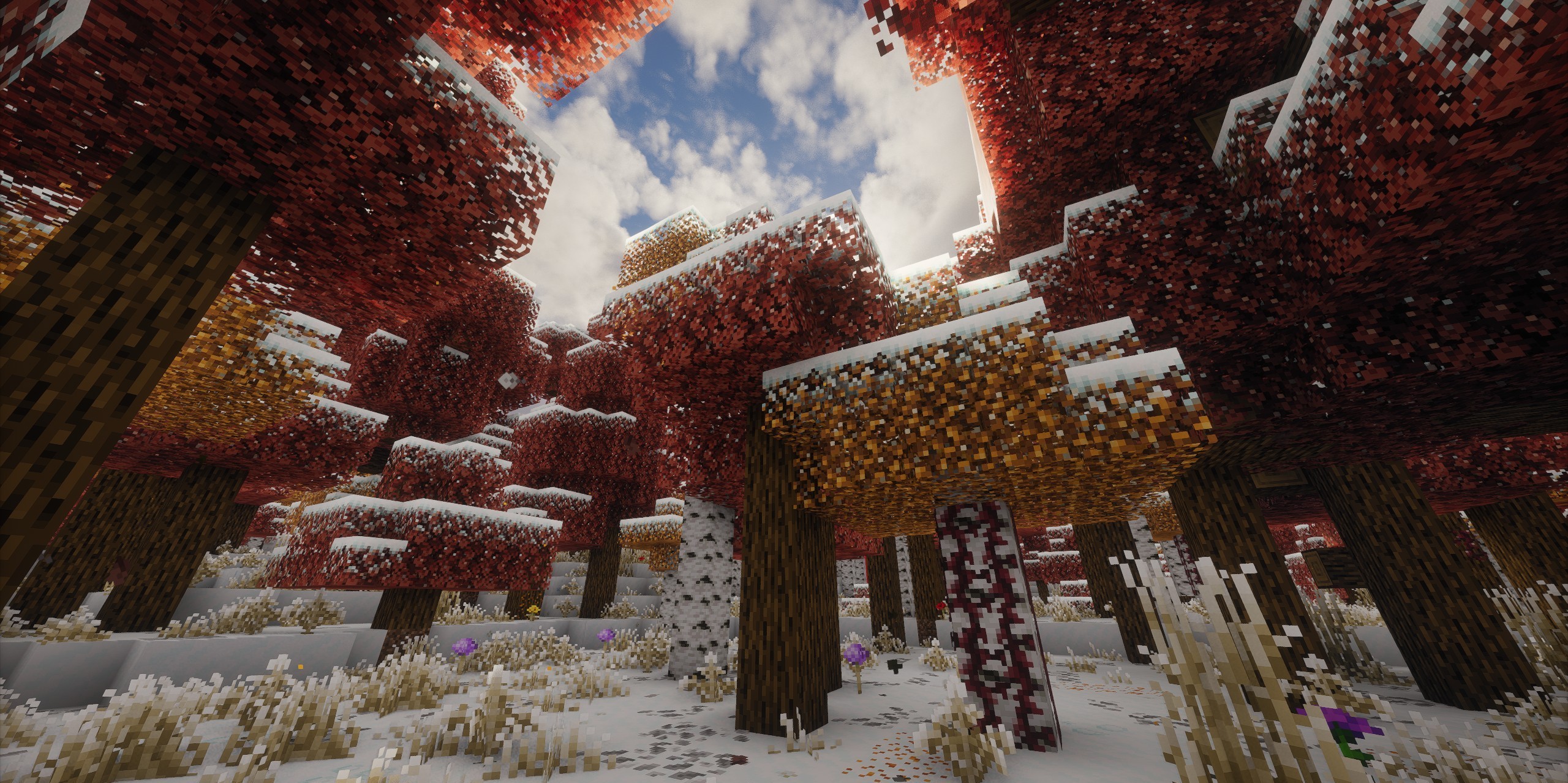 Snowy Biomes