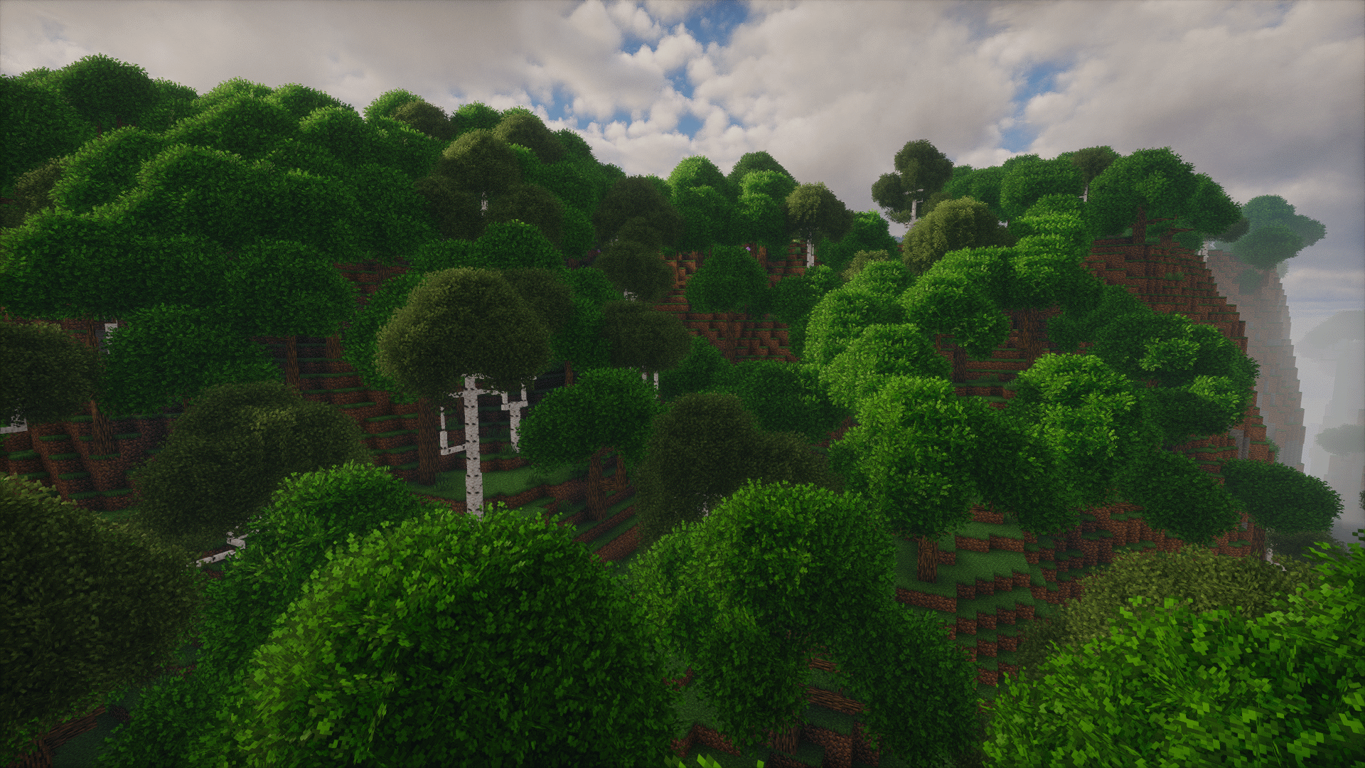 An image of a forest with rainbow's foliage and dynamic trees