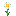oxeye_daisy