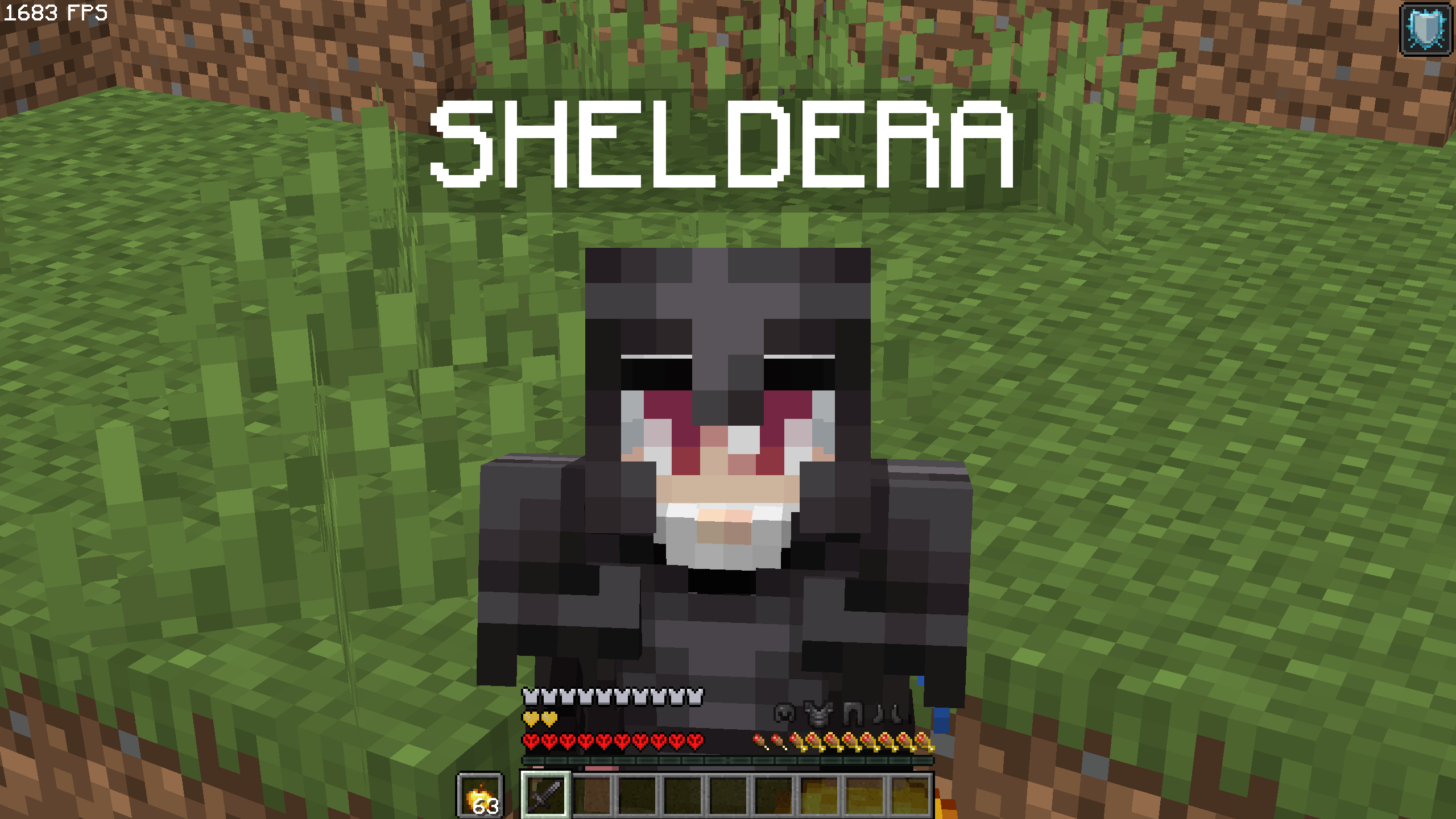 Replace this with a description
