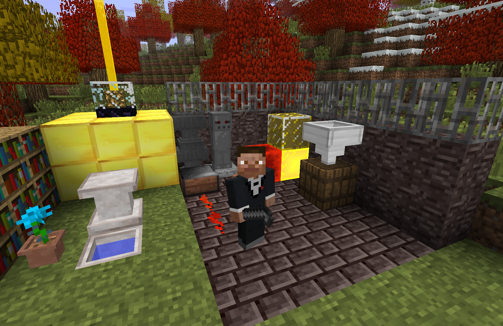showing several functional blocks