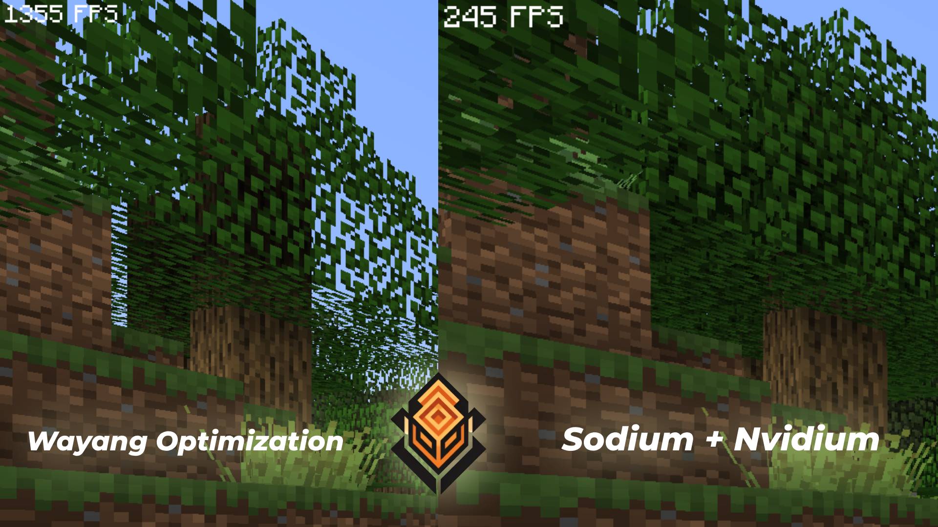 Comparison