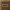 Xp Hud